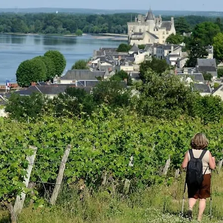 Grand Studio De Charme Avec Vue Sur Le Chateau.